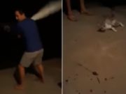 VIDEO | Constănţean filmat când chinuie o pisică sub ochii copilului său