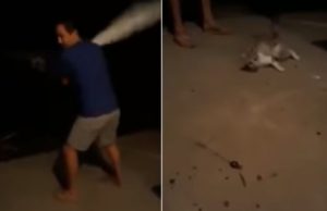 VIDEO | Constănţean filmat când chinuie o pisică sub ochii copilului său