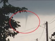 Vremea rea se pare că nu vrea deloc să părăsească România! Astfel, în județele Brăila, Brașov, Galați și Arad au fost filmate tornade spectaculoase, care i-au îngrozit pe locuitori.