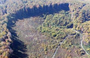 Nesimțirea ROMSILVA: Distruge Parcul Național Semenic – Cheile Carașului, dar aruncă vina pe biologul ariei protejate