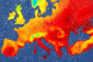 C2184DAA-ACB2-4208-AA70-D0DFFEFC3612