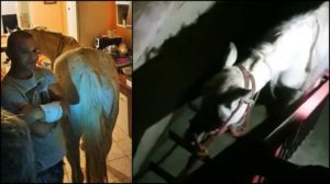 D3C08A61-AE07-4833-B051-953783C303F1