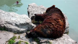 EBD69945-DBD8-49C4-995F-4C0BDFC97943