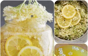 SOCATĂ, REȚETA BUNICII SAU REȚETA TRADIȚIONALĂ