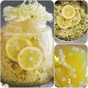 10DDE62A-F5A3-482E-BD20-D4FBB2D0EBA4