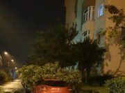 Urgie în Bănie! Vijelia face prăpăd. Copaci căzuți pe o Ambulanta și pe o țeavă de gaze