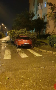 150A7E4C-7937-4B7C-9924-5C7FB4B7C92F