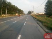 Trei cai frumoși, singuri pe străzi în drum spre Capitala Tineretului