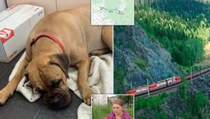 4D9DD307-EFD2-443F-9E6B-D6F9ECD0438B