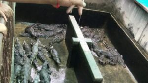 5D90CB5C-4697-4D61-BBF2-E9D05E59B289