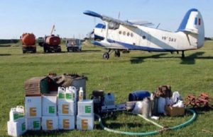 Dezinsecție cu apă chioară: suntem invadați de țânțari periculoși, care pot transmite boli fatale