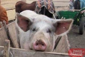 6EB65458-536D-4711-BB8C-60A667D78289