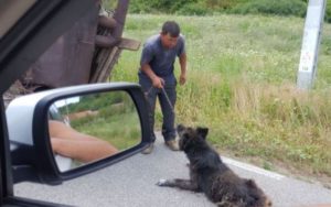 8894B556-9DD2-43F0-A3FD-0EF800856482