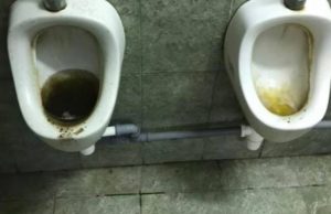 Cum arată toaletele de la intrarea în România, prin graniţa de la Porţile de Fier I. „La poarta de intrare în România europeană, pluteşte urina!“