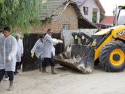 VIDEO | Dezastru la Teasc: toţi porcii din comună sunt eutanasiaţi