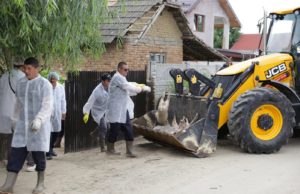 VIDEO | Dezastru la Teasc: toţi porcii din comună sunt eutanasiaţi