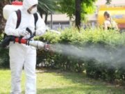 Craiova, răpusă de ţânţari