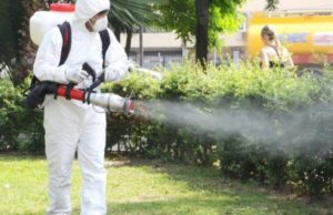 Craiova, răpusă de ţânţari