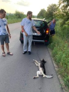 DFB272CB-13B8-4920-B26A-FC2B4768C822