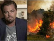 Leonardo DiCaprio a donat 5 milioane de dolari pentru salvarea pădurii amazoniene