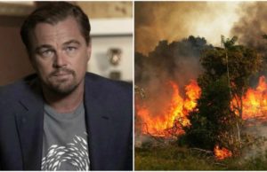 Leonardo DiCaprio a donat 5 milioane de dolari pentru salvarea pădurii amazoniene
