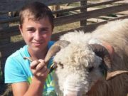 Recompensă de 100 de oi pentru găsirea lui Petronel, băiatul de 16 ani dispărut în Timiş