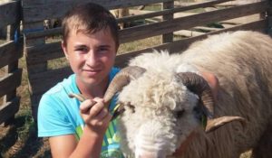 3CF066CF-BB40-4590-943E-3BF6D26B11A8