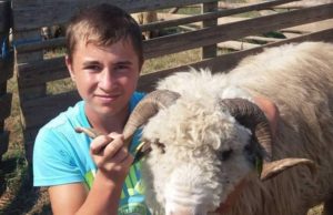 Recompensă de 100 de oi pentru găsirea lui Petronel, băiatul de 16 ani dispărut în Timiş