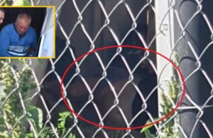 Criminalul din Caracal se relaxează în timp ce anchetatorii îi percheziţionează casa