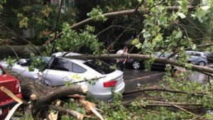 5CF580C8-A2B5-465A-8A20-3369CDB96032