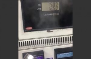 VIDEO | Un sofer a filmat cum a fost furat „la pompa”, la o benzinarie pe DN1!