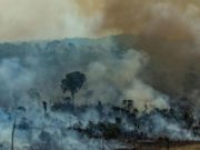 Pădurea Amazoniană, în flăcări: Papa Francisc se declară preocupat pentru „plămânul vital“ al planetei