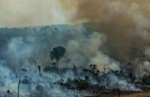 Pădurea Amazoniană, în flăcări: Papa Francisc se declară preocupat pentru „plămânul vital“ al planetei