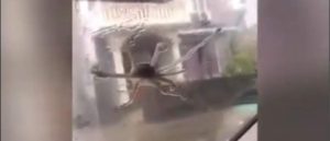 71815F22-038F-4463-B9F2-D617A770C985