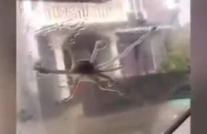 VIDEO | Fenomen rar întâlnit în China. A început să plouă cu pui de caracatiţă