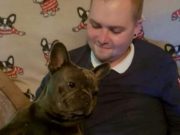 Un câine a murit la doar 15 minute după decesul stăpânului bolnav de cancer