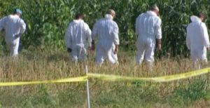 7CF3EBA9-A660-4185-A130-DDAF1B7C088D