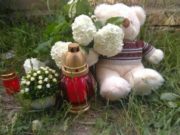 O fetiţă de 5 ani a murit în Arad, după ce un gard s-a prăbușit peste ea. Copila se juca pe stradă