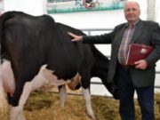 „Cumpărați produse românești, nu îmbogățiți fermierii străini…”