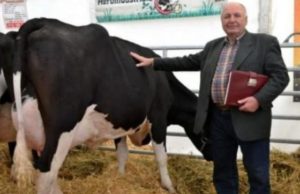 „Cumpărați produse românești, nu îmbogățiți fermierii străini…”