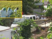 Căutările la casa criminalului din Caracal au luat sfârșit. Eșec în găsirea telefonului Luizei Melencu