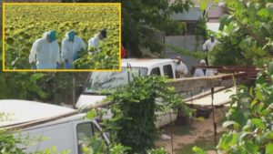 B30D42B3-2876-4BDB-98C8-D5DE9E2CE274