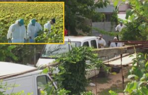 Căutările la casa criminalului din Caracal au luat sfârșit. Eșec în găsirea telefonului Luizei Melencu