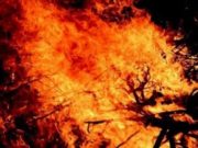 VIDEO | Incendiu uriaș în Siberia. Focul a înghițit o suprafață mai mare decât Belgia