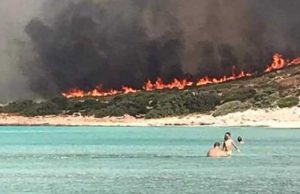 Grecia, lovită de noi incendii de pădure inclusiv în insulele apreciate de români pentru concedii