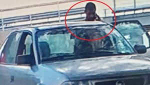 E5555A7A-74D5-406D-BDAB-782E054DEA00