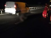 Urs lovit de 4 mașini pe Autostrada A1 Sibiu – Deva. Doi copii au primit îngrijiri medicale