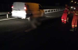 Urs lovit de 4 mașini pe Autostrada A1 Sibiu – Deva. Doi copii au primit îngrijiri medicale