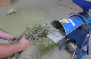 Bărbat din Botoșani în stare critică, după ce şi-a tocat o mână în maşina de mărunţit nutreţ, sub ochii fiului