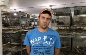 Au scos ceva la nuntă și au luat decizia! Ce au făcut doi soți cu banii de la nuntă. ”Toți au crezut că suntem nebuni”